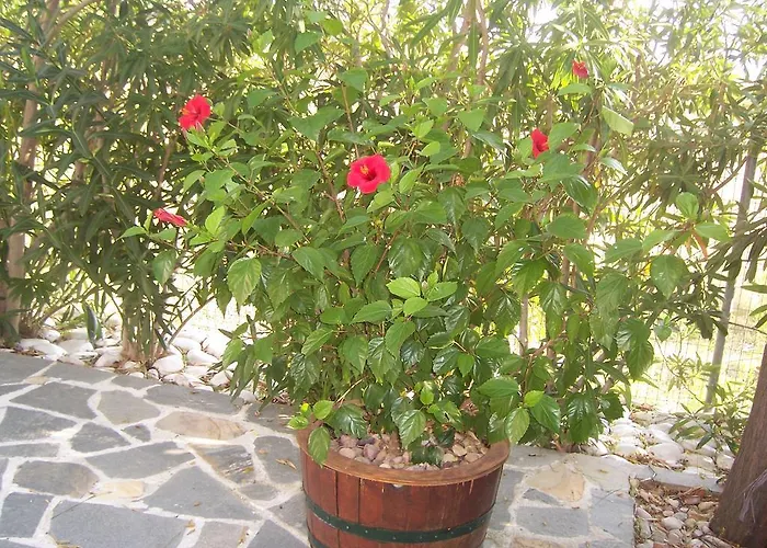 Apartament Sirines Prínos