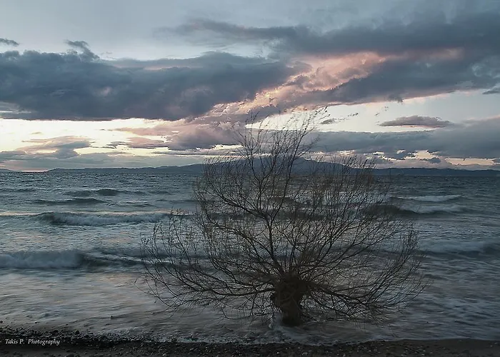 Апартаменты Sirines *